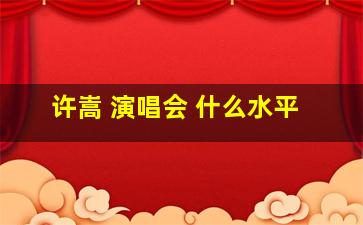 许嵩 演唱会 什么水平